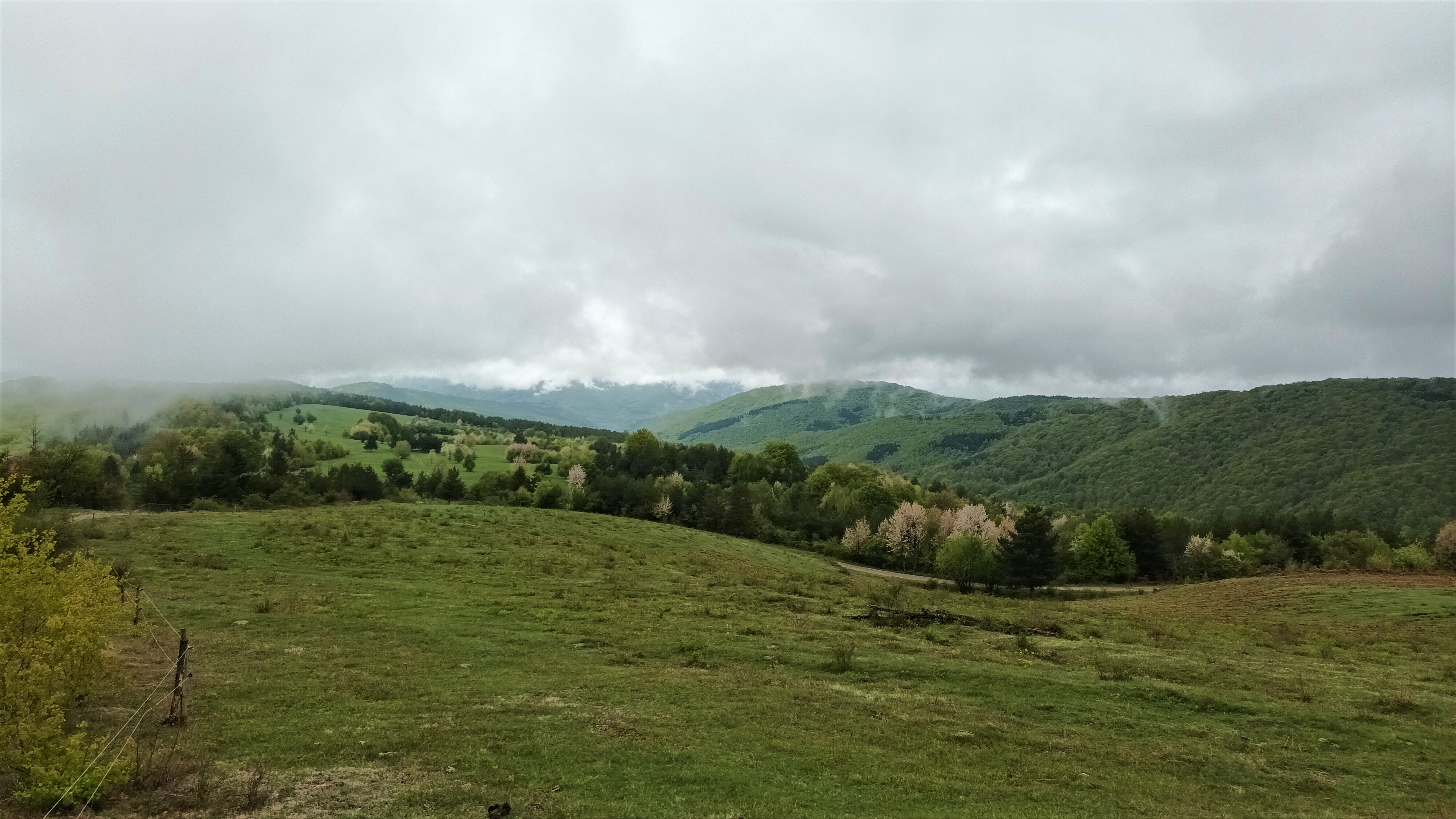 Пасторалните гледки в района